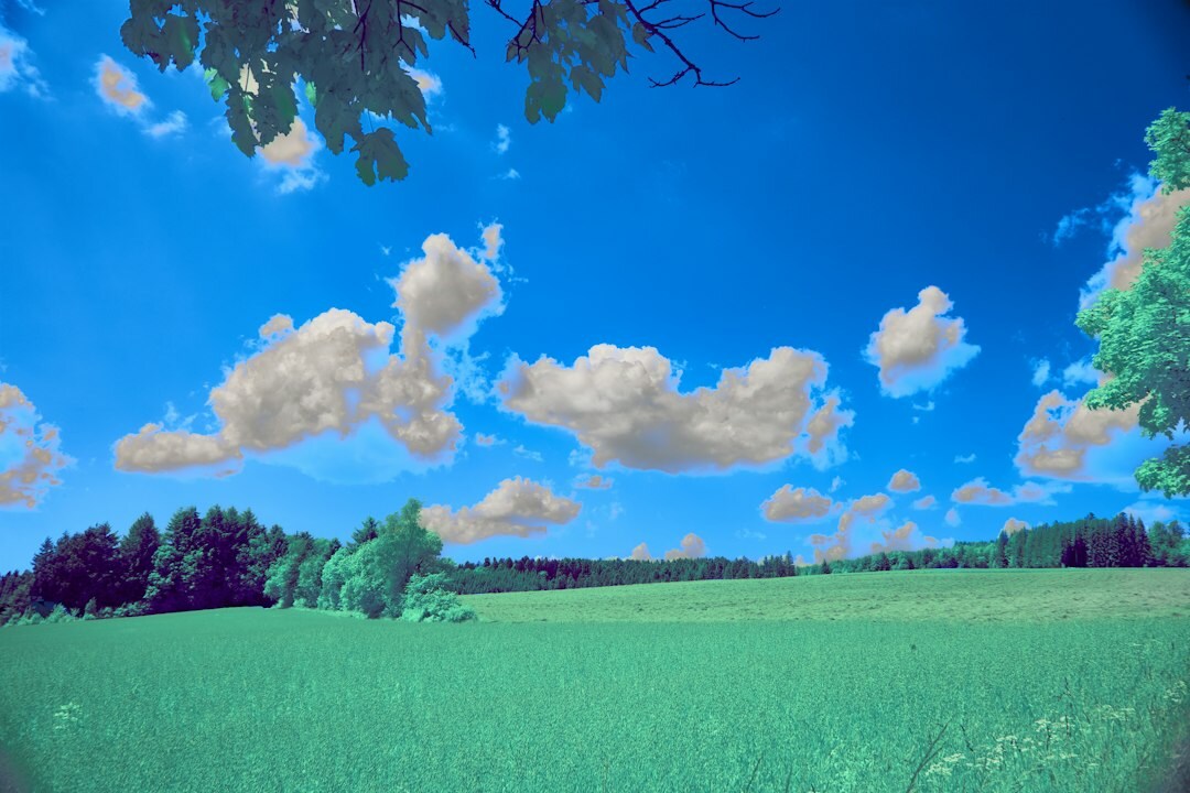 ai generated image example